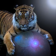 Tigerball