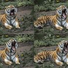 TigerCollage