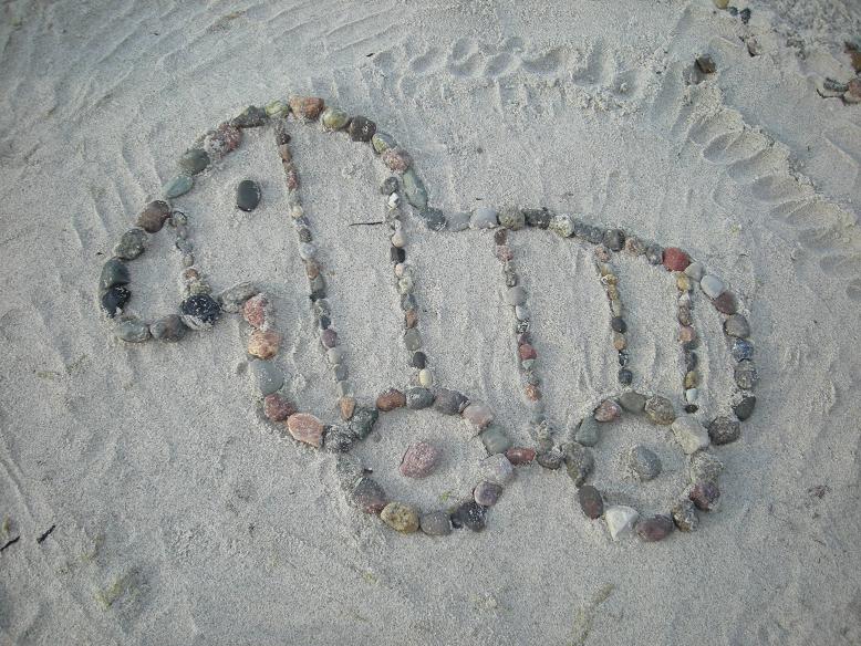 Tigerente am Strand