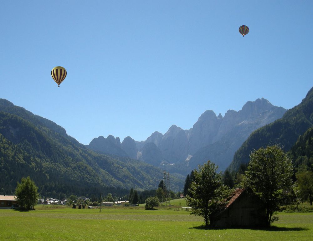 Tigerenten-Ballon