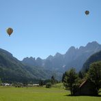 Tigerenten-Ballon