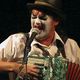 tigerlillies