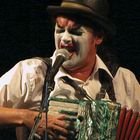 tigerlillies