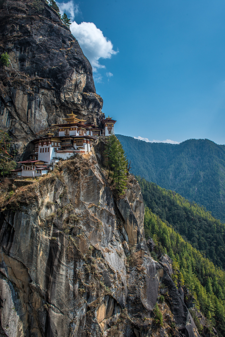 Tiger's nest