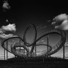 Tiger&Turtle