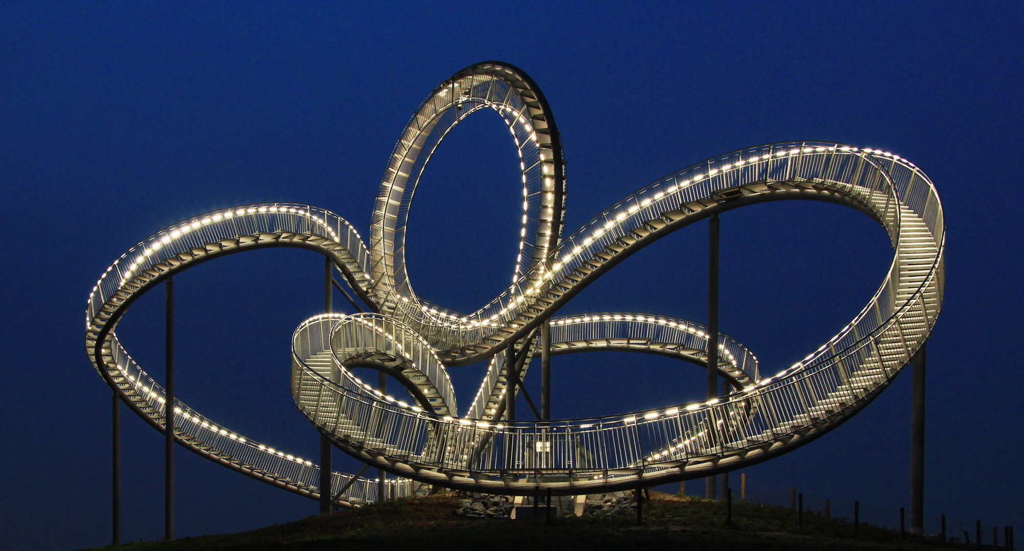 "Tiger&Turtle"