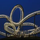 "Tiger&Turtle"