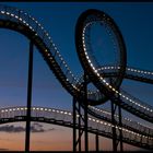 Tiger&Turtle