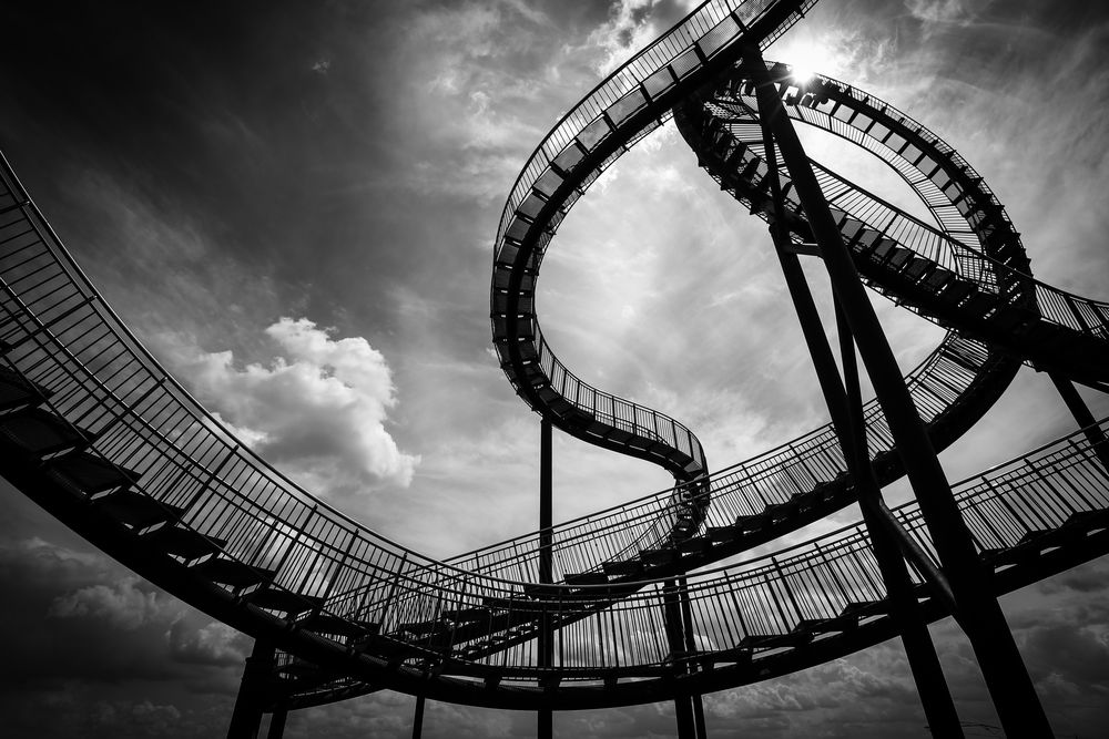 Tiger&Turtle-1