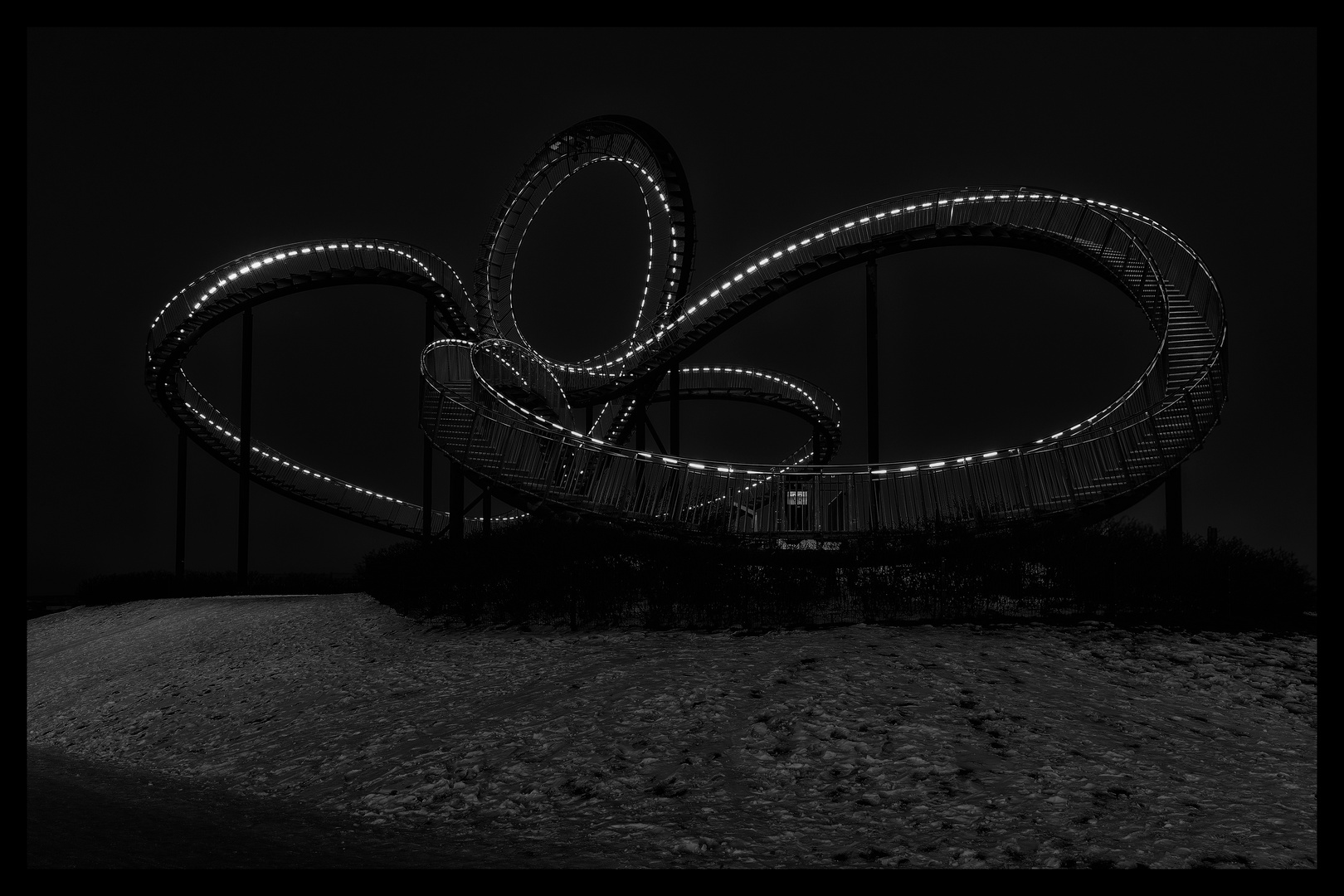 Tiger&Turtle