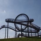 Tiger&Turtle