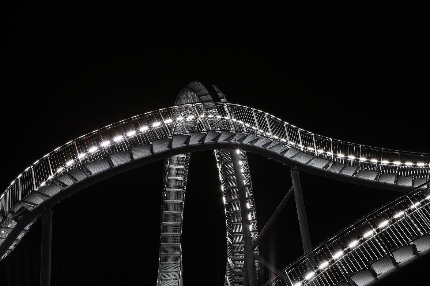 Tiger&Turtle