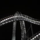 Tiger&Turtle