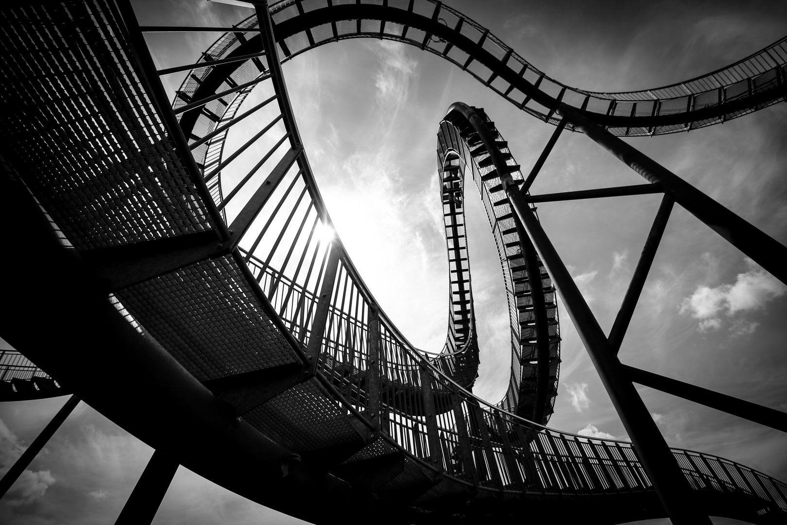 Tiger&Turtle-2