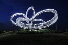 Tiger&Turtle