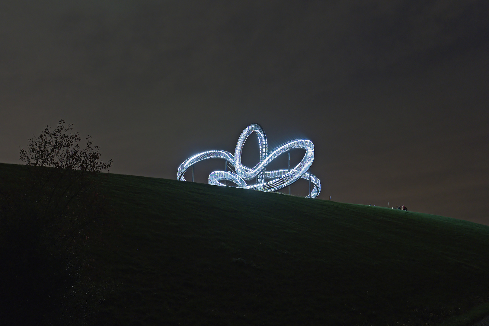 Tiger&Turtle