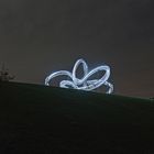 Tiger&Turtle