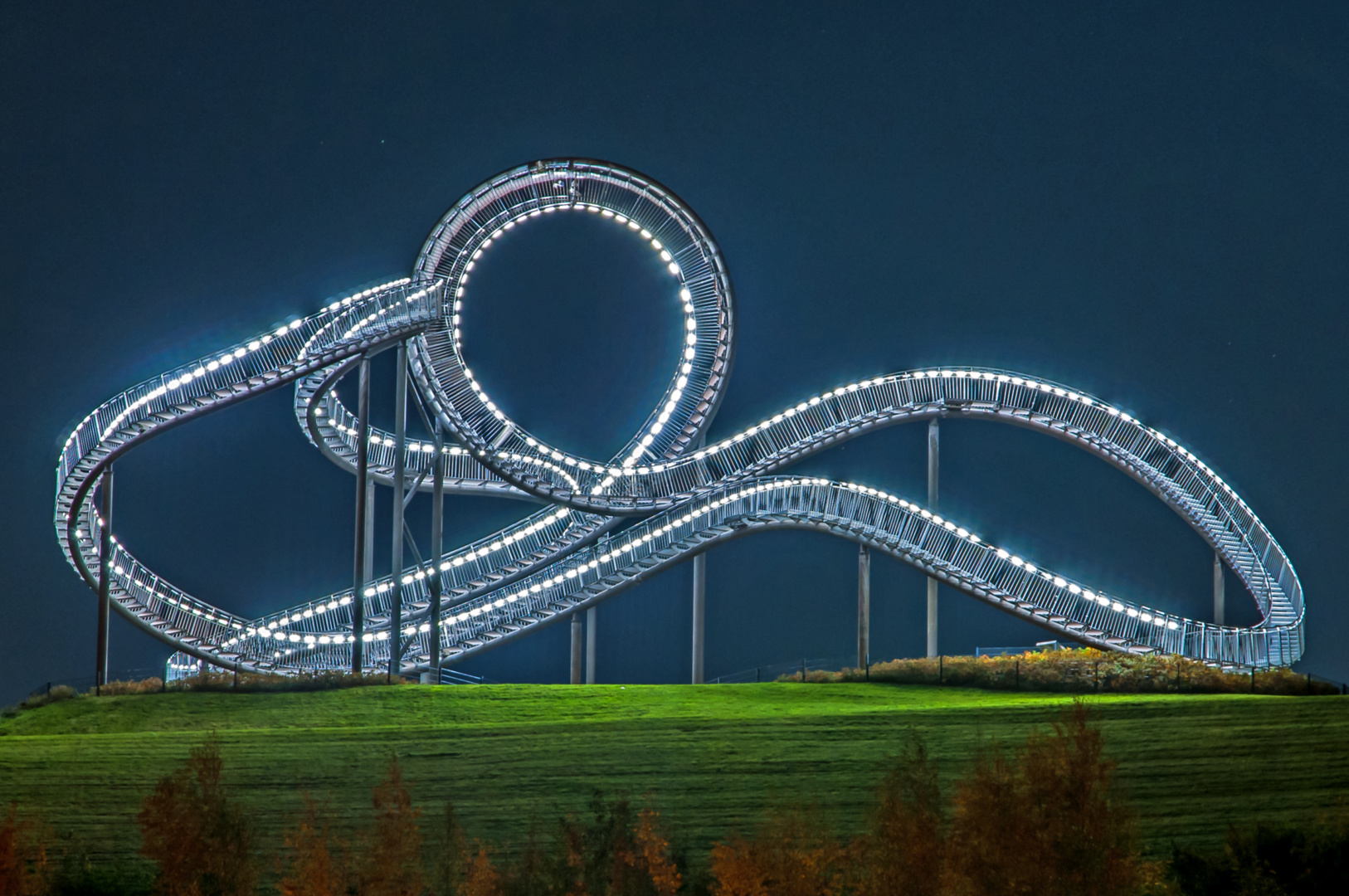 Tiger&Turtle