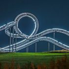 Tiger&Turtle