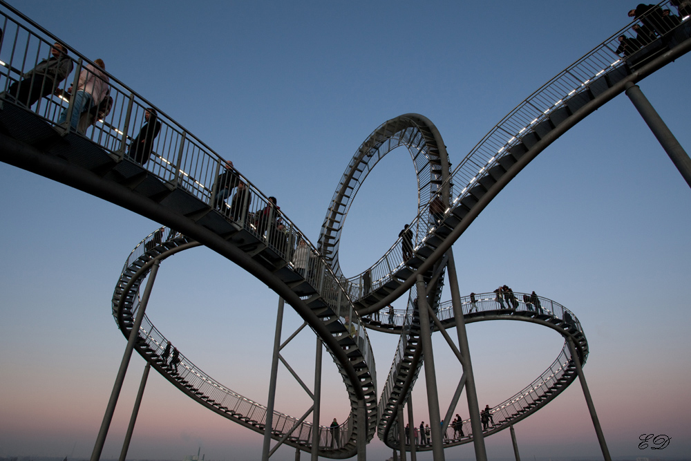 Tiger&Turtle 3