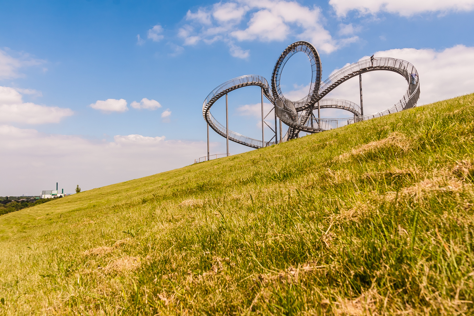 Tiger&Turtle