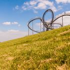 Tiger&Turtle