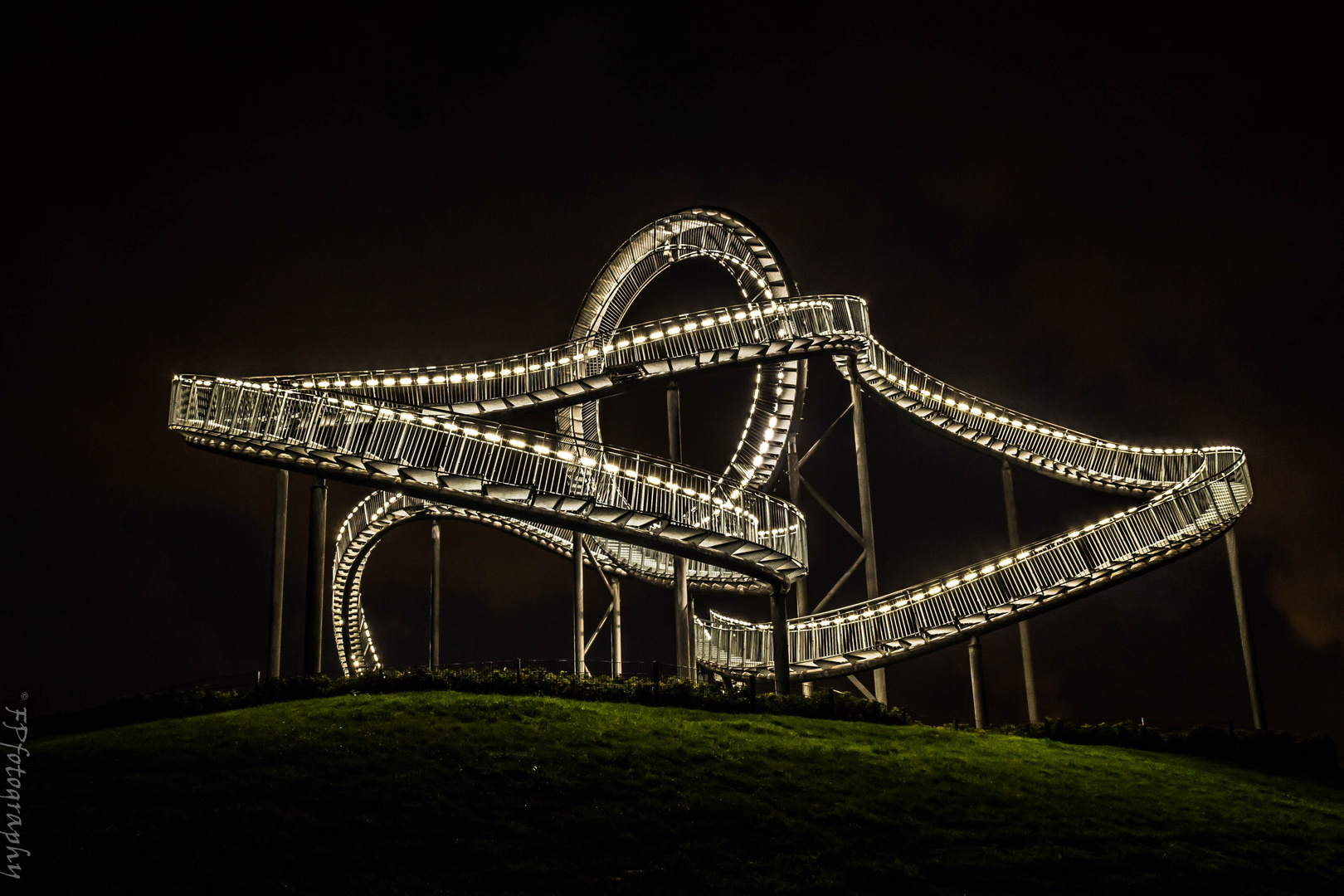 Tiger&Turtle