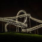 Tiger&Turtle