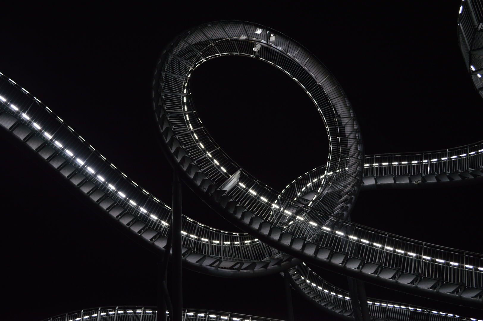 Tiger&Turtle