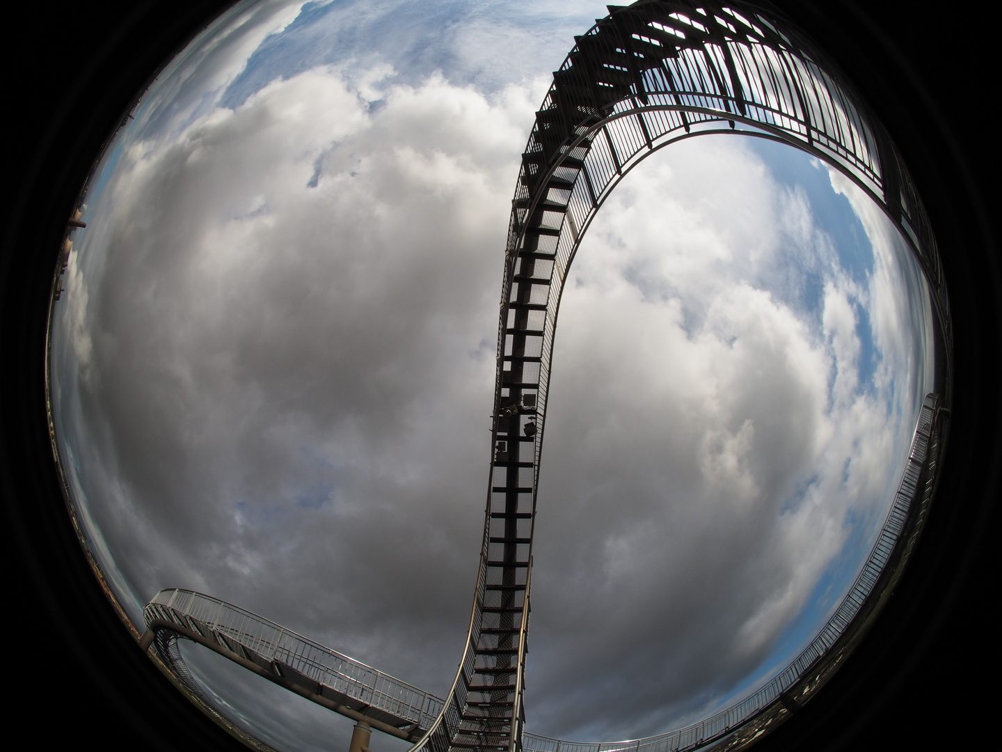 Tiger&Turtle