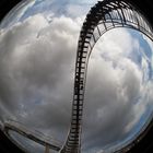 Tiger&Turtle