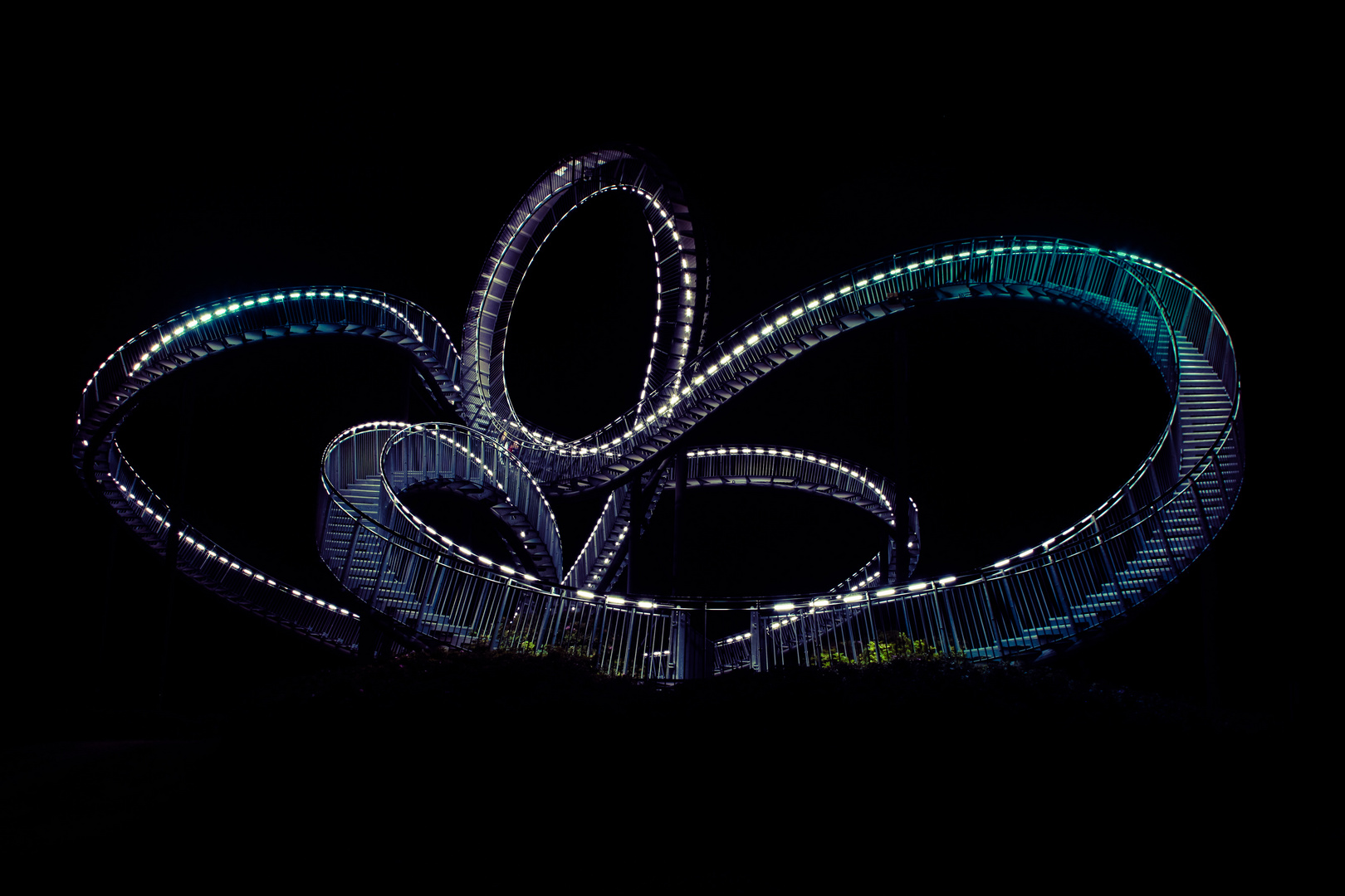 Tiger&Turtle