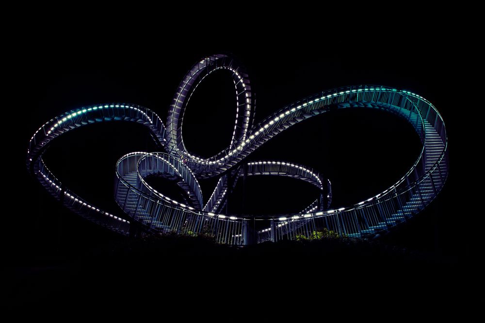 Tiger&Turtle