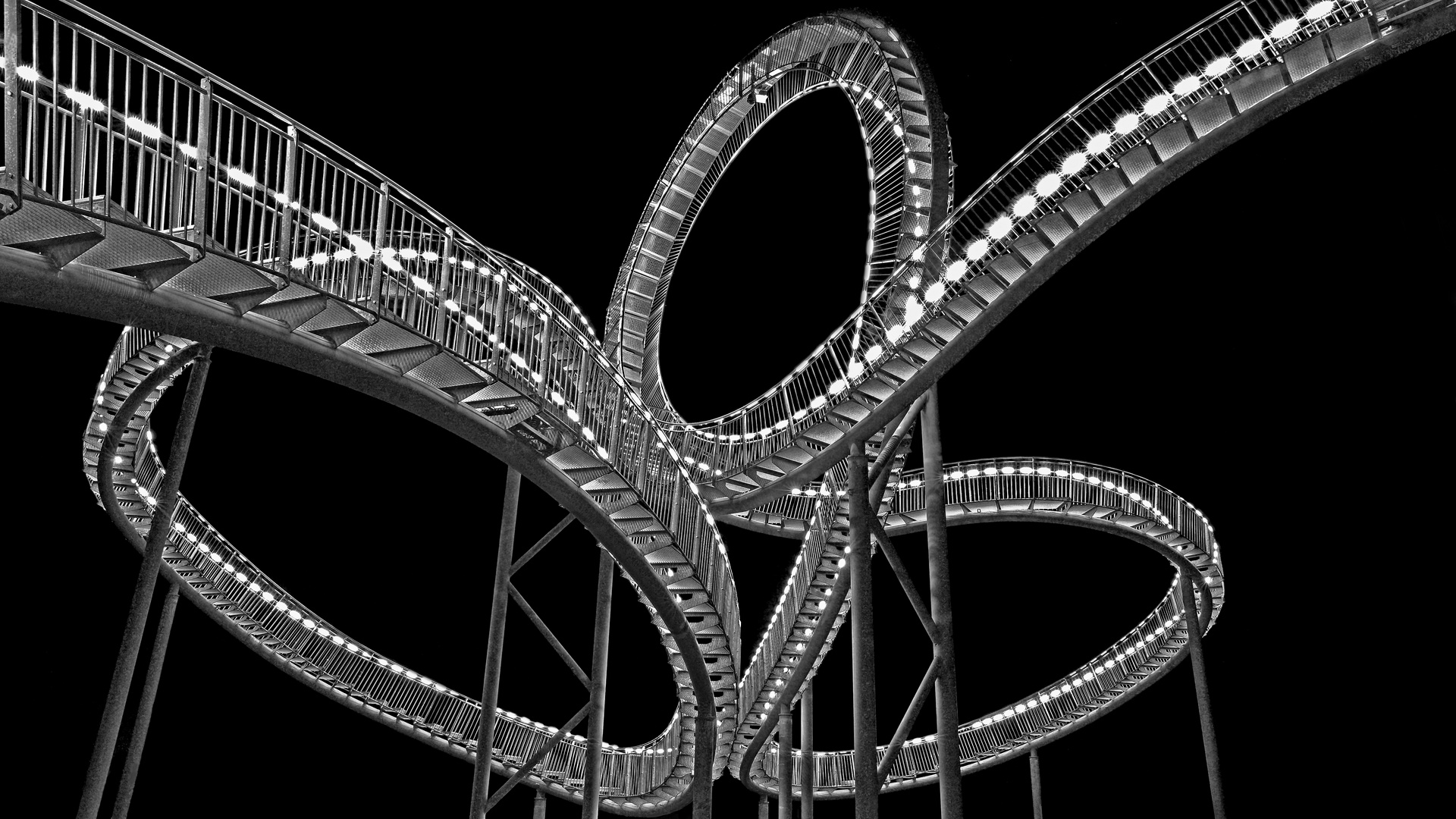 Tiger&Turtle