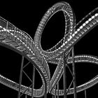 Tiger&Turtle