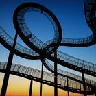 Tiger&Turtle