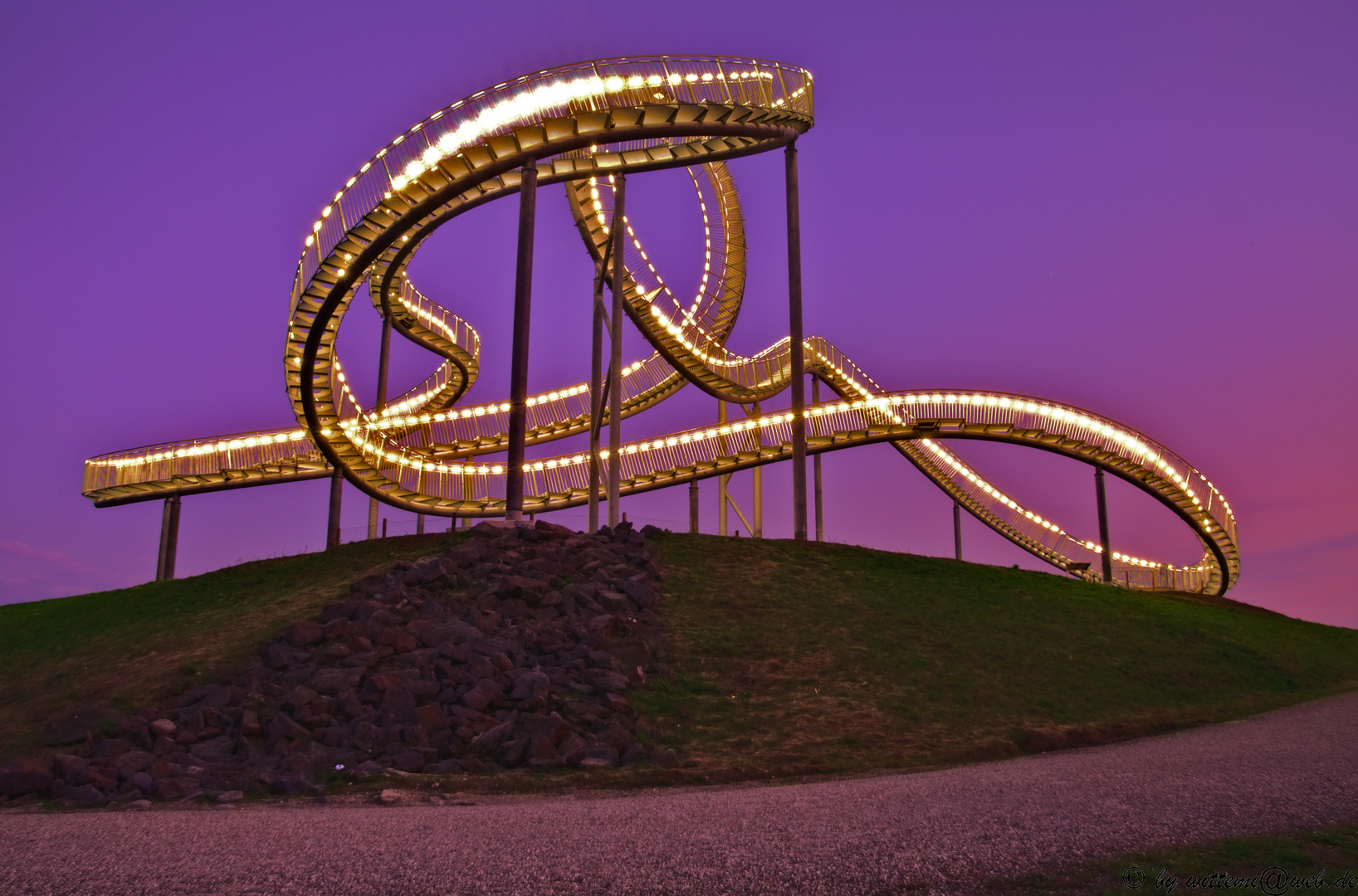 Tiger&Turtle