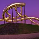 Tiger&Turtle