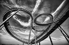 Tiger&Turtle