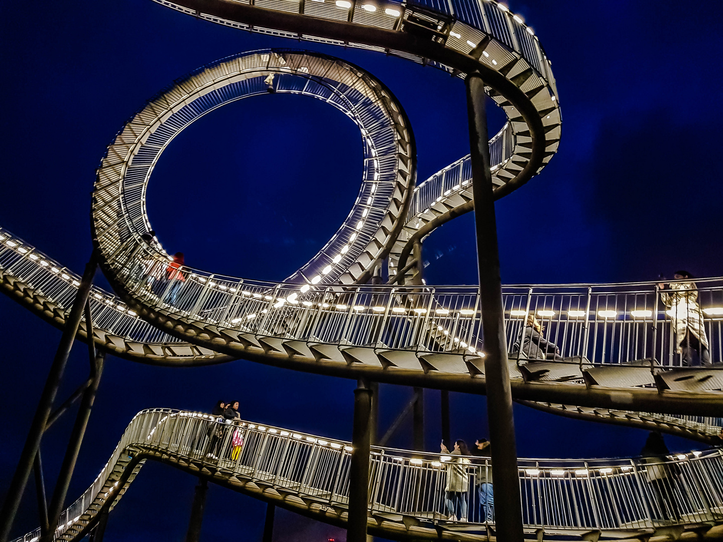 Tiger&Turtle