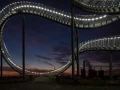 Tiger&Turtle