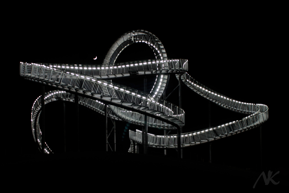 Tiger&Turtle