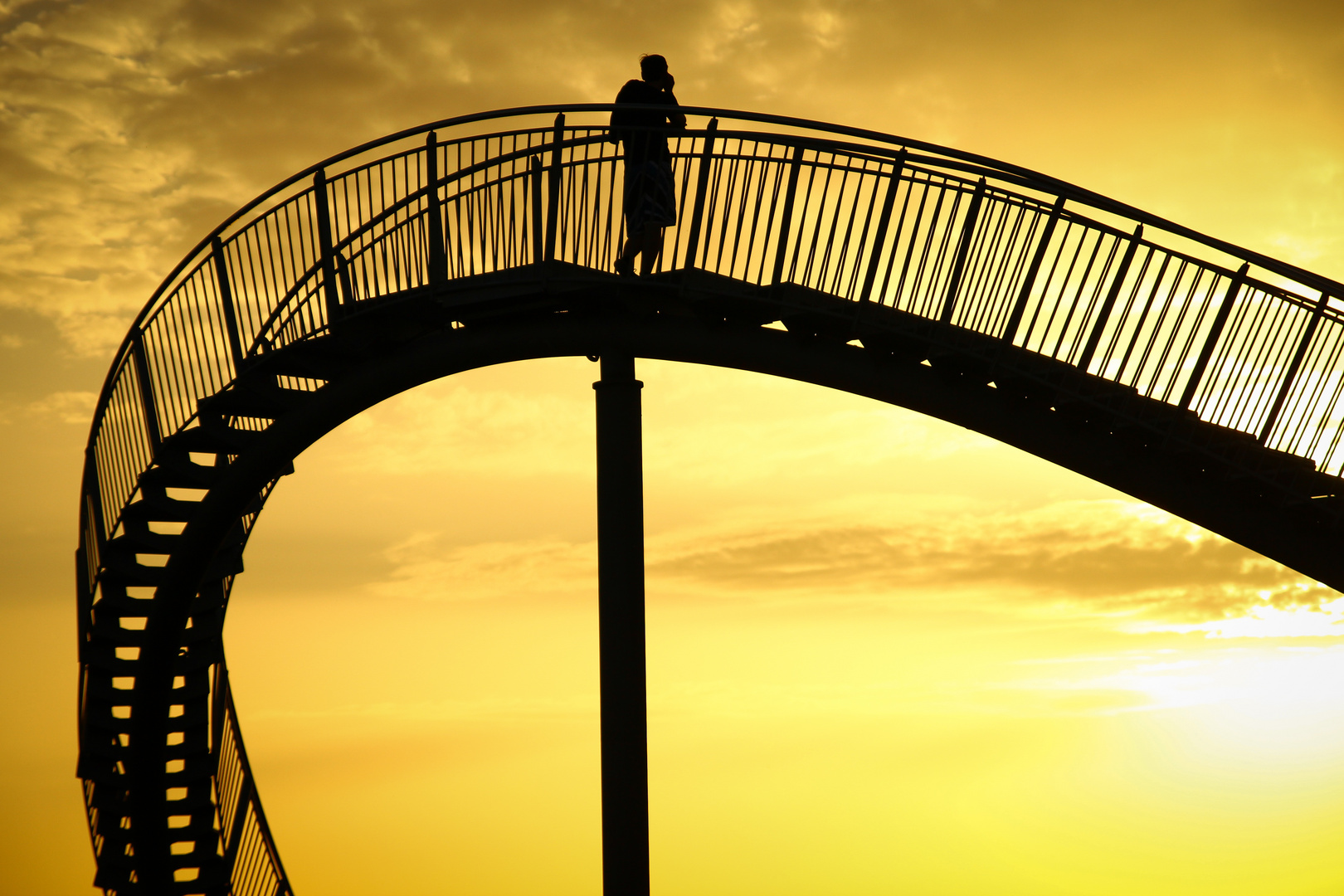 Tiger&Turtle