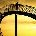 Tiger&Turtle