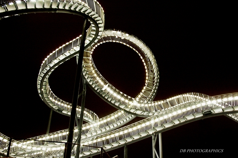 Tiger&Turtle