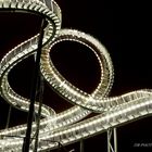 Tiger&Turtle