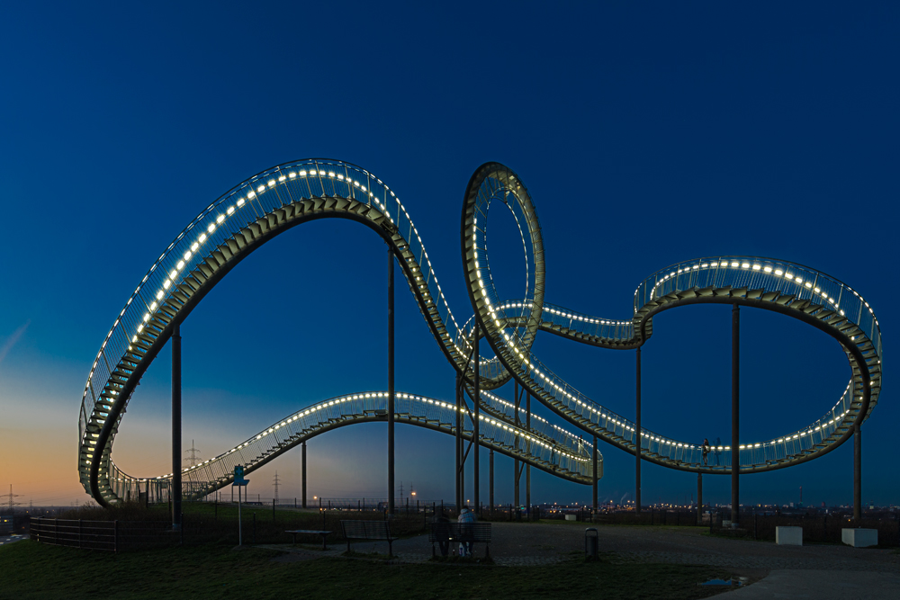 "Tiger&Turtle"