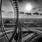 Tiger&Turtle BW 