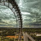 Tiger&Turtle