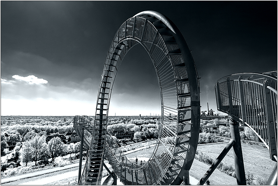 [ tiger+turtle)